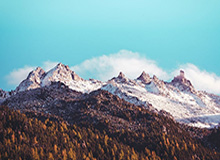 2026.3 第4期看好率排行