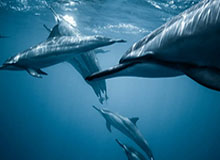 2026.3 第4期看好率排行