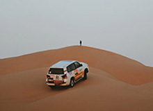 2026.3 第4期看好率排行